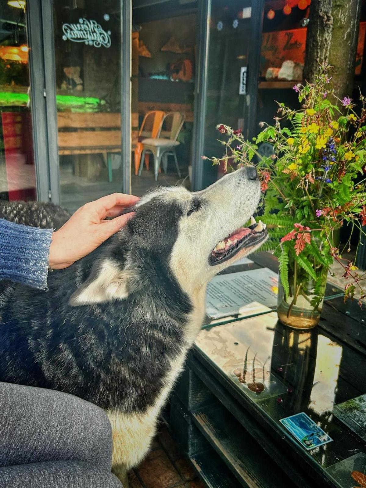 Nature Neno Hébergement de vacances