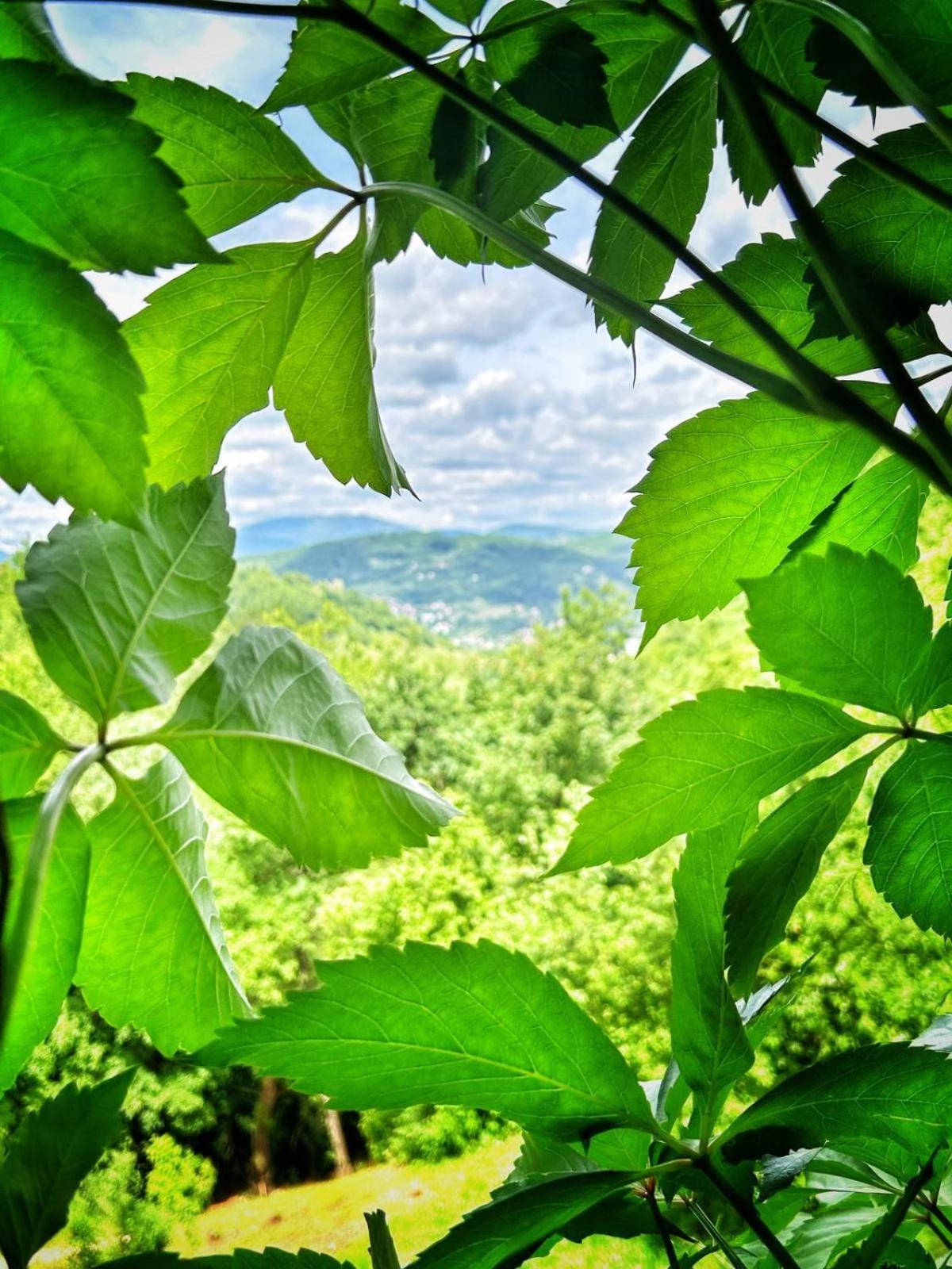 Hébergement de vacances Nature Neno