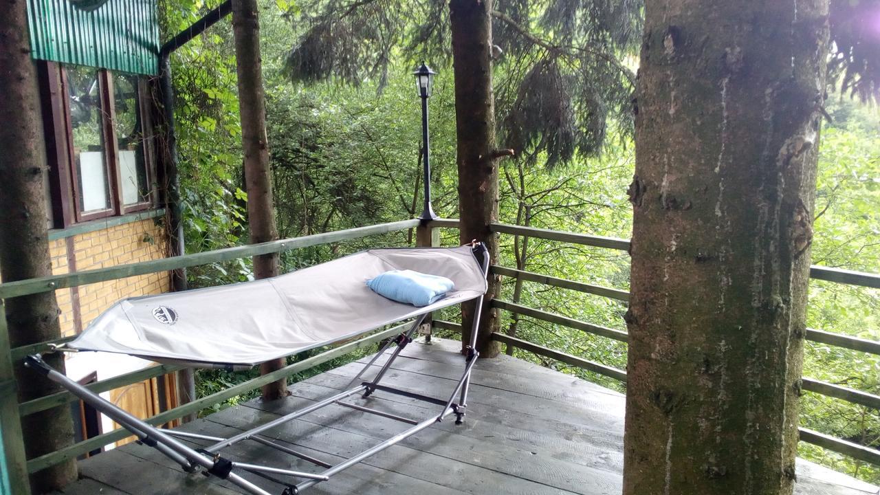 Nature Neno Visoko