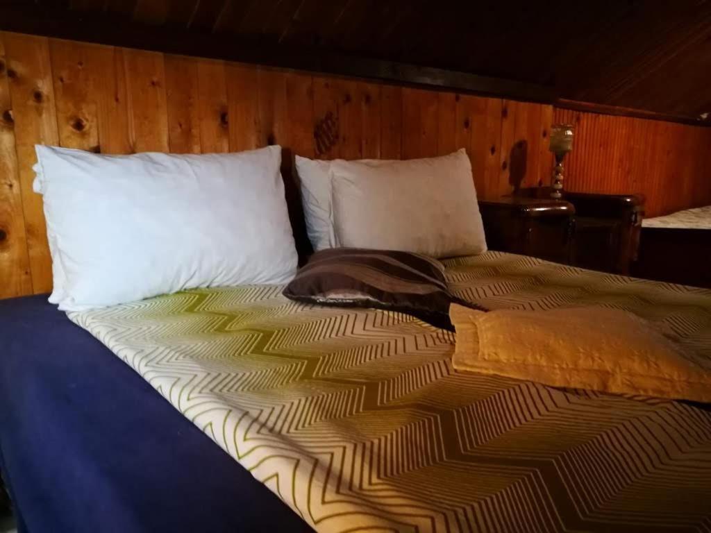 Nature Neno Holiday home